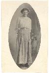 Rosa 1912