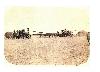 Harvest 1918
