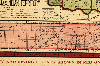 KTY Pan 1905